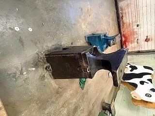 Anvil on stand (school metal shop)