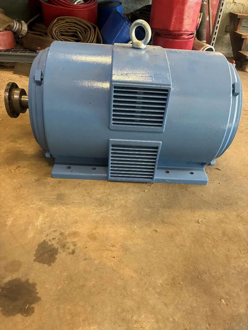 WorldWide Electric 300 HP electric motor
