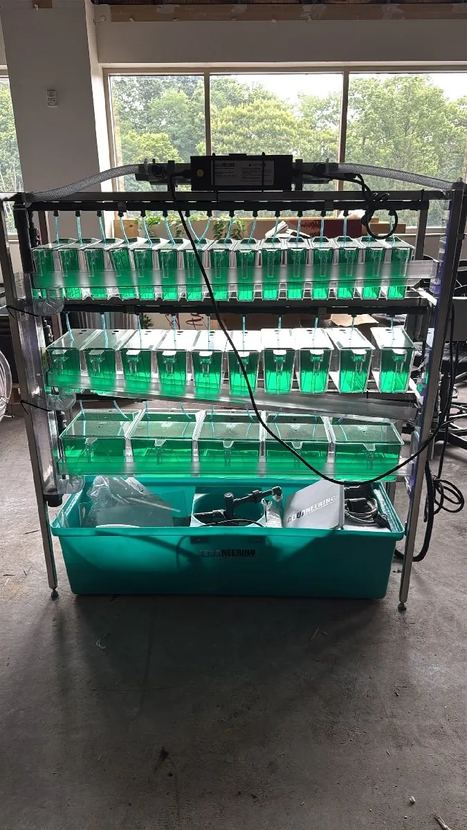 Zebrafish housing system