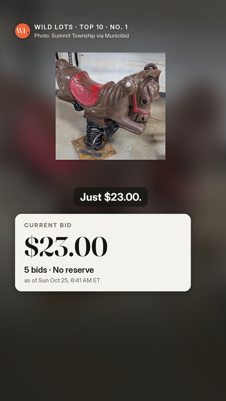 Reel cover: Playground horse spring toy